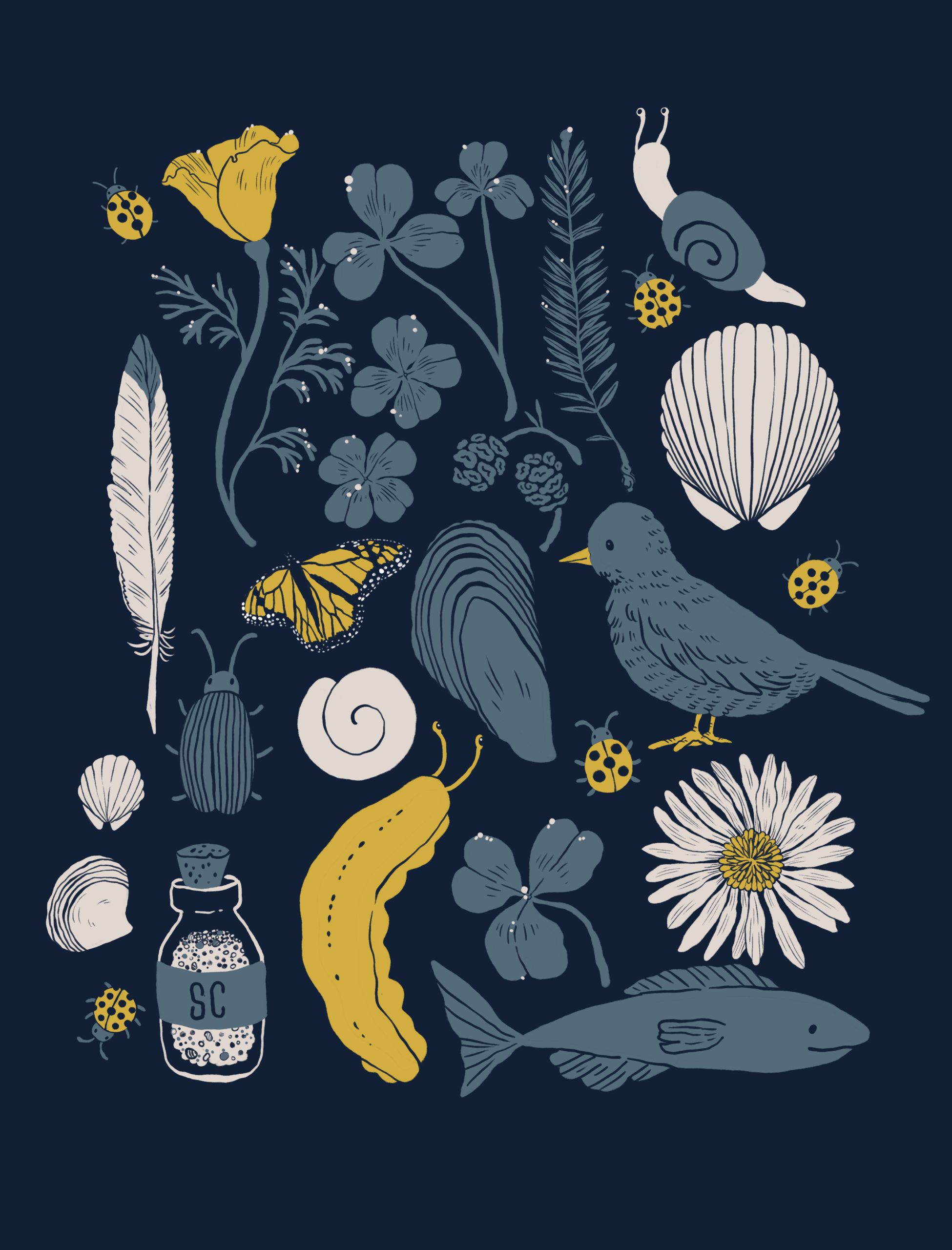 Santa Cruz Objects